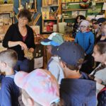 Rupprecht-Grundschule Bamberg, Klasse 2b zum Schulbienen-Unterricht / Schulbienenführung in der Bienen-InfoWabe, Bienen-leben-in-Bamberg.de