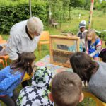 Rupprecht-Grundschule Bamberg, Klasse 2b zum Schulbienen-Unterricht / Schulbienenführung in der Bienen-InfoWabe, Bienen-leben-in-Bamberg.de