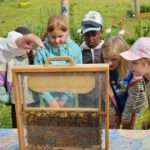 Rupprecht-Grundschule Bamberg, Klasse 2b zum Schulbienen-Unterricht / Schulbienenführung in der Bienen-InfoWabe, Bienen-leben-in-Bamberg.de
