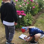Grundschule Scheßlitz, Klasse 2b zum Schulbienen-Unterricht / Schulbienenführung in der Bienen-InfoWabe, Bienen-leben-in-Bamberg.de