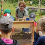 Domschule Bamberg, Klasse 2a zum Schulbienen-Unterricht / Schulbienenführung in der Bienen-InfoWabe, Bienen-leben-in-Bamberg.de