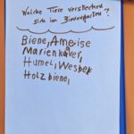 Grundschule Scheßlitz, Klasse 2b zum Schulbienen-Unterricht / Schulbienenführung in der Bienen-InfoWabe, Bienen-leben-in-Bamberg.de
