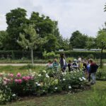 Rupprecht-Grundschule Bamberg, Klasse 2b zum Schulbienen-Unterricht / Schulbienenführung in der Bienen-InfoWabe, Bienen-leben-in-Bamberg.de