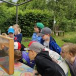 Domschule Bamberg, Klasse 2a zum Schulbienen-Unterricht / Schulbienenführung in der Bienen-InfoWabe, Bienen-leben-in-Bamberg.de
