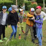 Domschule Bamberg, Klasse 2a zum Schulbienen-Unterricht / Schulbienenführung in der Bienen-InfoWabe, Bienen-leben-in-Bamberg.de