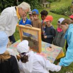 Domschule Bamberg, Klasse 2a zum Schulbienen-Unterricht / Schulbienenführung in der Bienen-InfoWabe, Bienen-leben-in-Bamberg.de