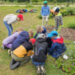 Domschule Bamberg, Klasse 2a zum Schulbienen-Unterricht / Schulbienenführung in der Bienen-InfoWabe, Bienen-leben-in-Bamberg.de