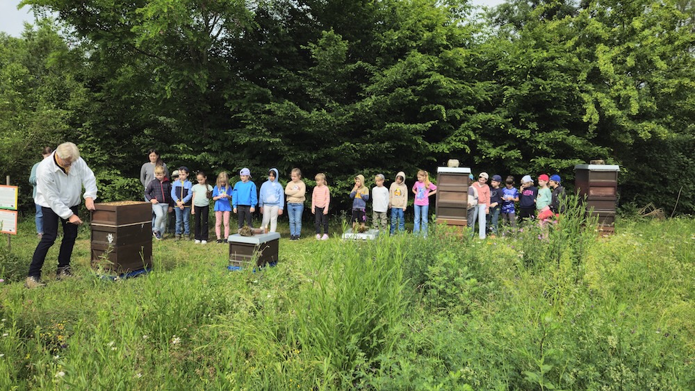 Rupprecht-Grundschule Bamberg, Klasse 2b zum Schulbienen-Unterricht / Schulbienenführung in der Bienen-InfoWabe, Bienen-leben-in-Bamberg.de
