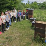 Grundschule Scheßlitz, Klasse 2b zum Schulbienen-Unterricht / Schulbienenführung in der Bienen-InfoWabe, Bienen-leben-in-Bamberg.de