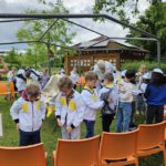 Domschule Bamberg, Klasse 2a zum Schulbienen-Unterricht / Schulbienenführung in der Bienen-InfoWabe, Bienen-leben-in-Bamberg.de
