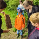 Rupprecht-Grundschule Bamberg, Klasse 2b zum Schulbienen-Unterricht / Schulbienenführung in der Bienen-InfoWabe, Bienen-leben-in-Bamberg.de