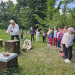 Grundschule Scheßlitz, Klasse 2b zum Schulbienen-Unterricht / Schulbienenführung in der Bienen-InfoWabe, Bienen-leben-in-Bamberg.de