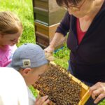 Rupprecht-Grundschule Bamberg, Klasse 2b zum Schulbienen-Unterricht / Schulbienenführung in der Bienen-InfoWabe, Bienen-leben-in-Bamberg.de
