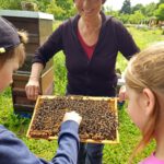 Rupprecht-Grundschule Bamberg, Klasse 2b zum Schulbienen-Unterricht / Schulbienenführung in der Bienen-InfoWabe, Bienen-leben-in-Bamberg.de