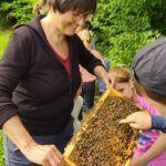 Rupprecht-Grundschule Bamberg, Klasse 2b zum Schulbienen-Unterricht / Schulbienenführung in der Bienen-InfoWabe, Bienen-leben-in-Bamberg.de