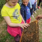 Grundschule Scheßlitz, Klasse 2b zum Schulbienen-Unterricht / Schulbienenführung in der Bienen-InfoWabe, Bienen-leben-in-Bamberg.de