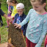 Grundschule Scheßlitz, Klasse 2b zum Schulbienen-Unterricht / Schulbienenführung in der Bienen-InfoWabe, Bienen-leben-in-Bamberg.de