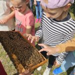 Grundschule Scheßlitz, Klasse 2b zum Schulbienen-Unterricht / Schulbienenführung in der Bienen-InfoWabe, Bienen-leben-in-Bamberg.de
