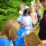 Rupprecht-Grundschule Bamberg, Klasse 2b zum Schulbienen-Unterricht / Schulbienenführung in der Bienen-InfoWabe, Bienen-leben-in-Bamberg.de