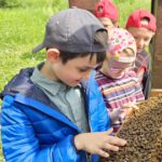 Grundschule Scheßlitz, Klasse 2b zum Schulbienen-Unterricht / Schulbienenführung in der Bienen-InfoWabe, Bienen-leben-in-Bamberg.de