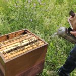 Domschule Bamberg, Klasse 2a zum Schulbienen-Unterricht / Schulbienenführung in der Bienen-InfoWabe, Bienen-leben-in-Bamberg.de