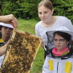 Domschule Bamberg, Klasse 2a zum Schulbienen-Unterricht / Schulbienenführung in der Bienen-InfoWabe, Bienen-leben-in-Bamberg.de