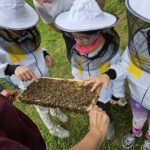 Domschule Bamberg, Klasse 2a zum Schulbienen-Unterricht / Schulbienenführung in der Bienen-InfoWabe, Bienen-leben-in-Bamberg.de
