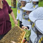 Domschule Bamberg, Klasse 2a zum Schulbienen-Unterricht / Schulbienenführung in der Bienen-InfoWabe, Bienen-leben-in-Bamberg.de