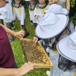 Domschule Bamberg, Klasse 2a zum Schulbienen-Unterricht / Schulbienenführung in der Bienen-InfoWabe, Bienen-leben-in-Bamberg.de