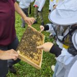 Domschule Bamberg, Klasse 2a zum Schulbienen-Unterricht / Schulbienenführung in der Bienen-InfoWabe, Bienen-leben-in-Bamberg.de