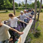 Grundschule Scheßlitz, Klasse 2a zum Schulbienen-Unterricht / Schulbienenführung in der Bienen-InfoWabe, Bienen-leben-in-Bamberg.de