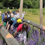 Grundschule Scheßlitz, Klasse 2a zum Schulbienen-Unterricht / Schulbienenführung in der Bienen-InfoWabe, Bienen-leben-in-Bamberg.de