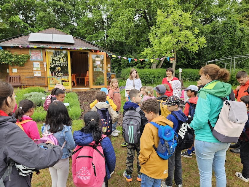 Rupprecht-Grundschule Bamberg, Klasse 2d zum Schulbienen-Unterricht / Schulbienenführung in der Bienen-InfoWabe, Bienen-leben-in-Bamberg.de