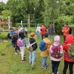 Rupprecht-Grundschule Bamberg, Klasse 2d zum Schulbienen-Unterricht / Schulbienenführung in der Bienen-InfoWabe, Bienen-leben-in-Bamberg.de