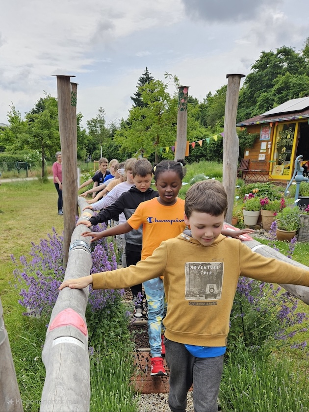 Rupprecht-Grundschule Bamberg, Klasse 2a zum Schulbienen-Unterricht / Schulbienenführung in der Bienen-InfoWabe, Bienen-leben-in-Bamberg.de