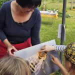 Grundschule Scheßlitz, Klasse 2a zum Schulbienen-Unterricht / Schulbienenführung in der Bienen-InfoWabe, Bienen-leben-in-Bamberg.de