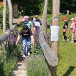 Schulbienenführung / Schulbienen-Unterricht im Ferienprogramm für den Offenen Ganztag (OGS) Grundschule Gaustadt. / Initiative Bienen-leben-in-Bamberg.de
