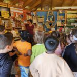 Rupprecht-Grundschule Bamberg, Klasse 2a zum Schulbienen-Unterricht / Schulbienenführung in der Bienen-InfoWabe, Bienen-leben-in-Bamberg.de