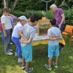 Schulbienenführung / Schulbienen-Unterricht zur Stärkung geflüchteter Kinder und Jugendlicher / Initiative Bienen-leben-in-Bamberg.de