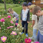 Grundschule Scheßlitz, Klasse 2a zum Schulbienen-Unterricht / Schulbienenführung in der Bienen-InfoWabe, Bienen-leben-in-Bamberg.de