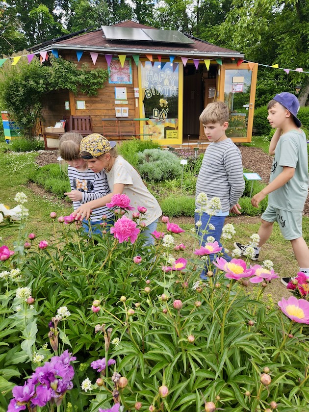 Grundschule Scheßlitz, Klasse 2a zum Schulbienen-Unterricht / Schulbienenführung in der Bienen-InfoWabe, Bienen-leben-in-Bamberg.de