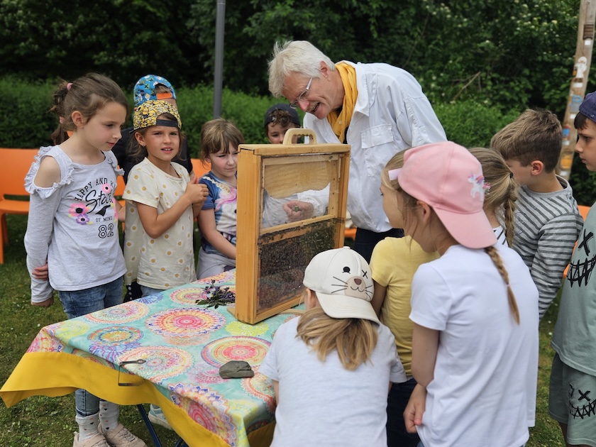 Grundschule Scheßlitz, Klasse 2a zum Schulbienen-Unterricht / Schulbienenführung in der Bienen-InfoWabe, Bienen-leben-in-Bamberg.de