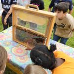 Rupprecht-Grundschule Bamberg, Klasse 2a zum Schulbienen-Unterricht / Schulbienenführung in der Bienen-InfoWabe, Bienen-leben-in-Bamberg.de
