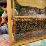 Rupprecht-Grundschule Bamberg, Klasse 2a zum Schulbienen-Unterricht / Schulbienenführung in der Bienen-InfoWabe, Bienen-leben-in-Bamberg.de