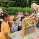 Rupprecht-Grundschule Bamberg, Klasse 2a zum Schulbienen-Unterricht / Schulbienenführung in der Bienen-InfoWabe, Bienen-leben-in-Bamberg.de
