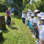Schulbienenführung / Schulbienen-Unterricht zur Stärkung geflüchteter Kinder und Jugendlicher / Initiative Bienen-leben-in-Bamberg.de