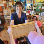 Schulbienenführung / Schulbienen-Unterricht im Ferienprogramm für den Offenen Ganztag (OGS) Grundschule Gaustadt. / Initiative Bienen-leben-in-Bamberg.de