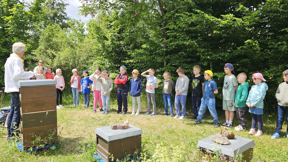 Grundschule Scheßlitz, Klasse 2a zum Schulbienen-Unterricht / Schulbienenführung in der Bienen-InfoWabe, Bienen-leben-in-Bamberg.de