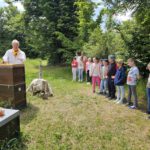 Grundschule Scheßlitz, Klasse 2a zum Schulbienen-Unterricht / Schulbienenführung in der Bienen-InfoWabe, Bienen-leben-in-Bamberg.de