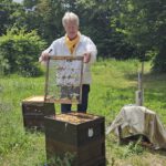 Grundschule Scheßlitz, Klasse 2a zum Schulbienen-Unterricht / Schulbienenführung in der Bienen-InfoWabe, Bienen-leben-in-Bamberg.de